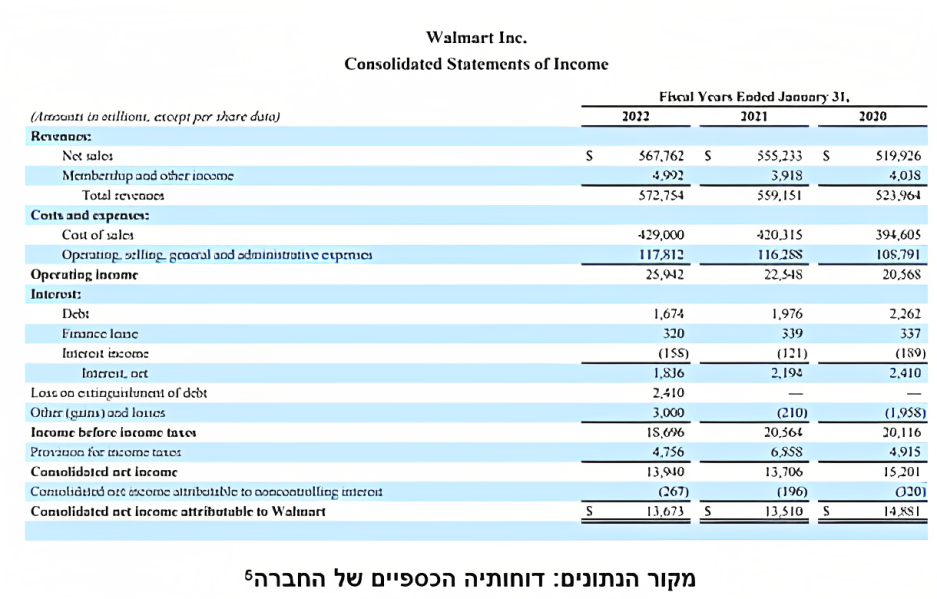 דוחותיה הכספיים של החברה